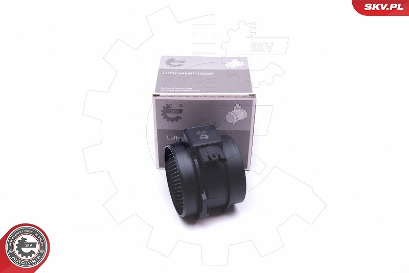 Esen Skv Luftmassenmesser [Hersteller-Nr. 07SKV169] für BMW