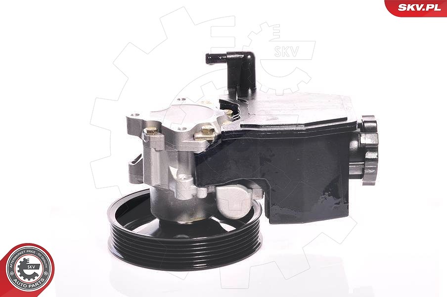 Esen Skv Hydraulikpumpe, Lenkung [Hersteller-Nr. 10SKV139] für VW, Mercedes-Benz