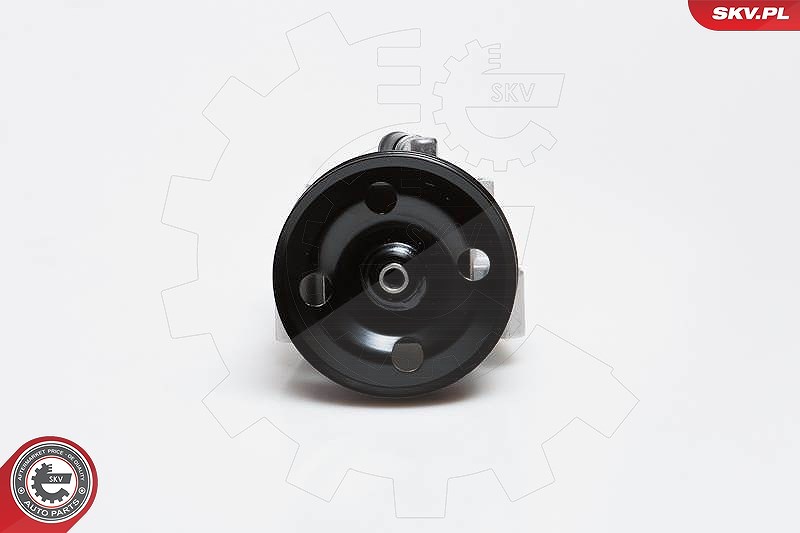 Esen Skv Hydraulikpumpe, Lenkung [Hersteller-Nr. 10SKV091] für Volvo, Ford