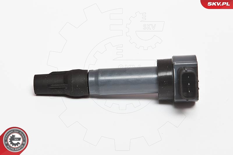 Esen Skv Zündspule [Hersteller-Nr. 03SKV198] für Mitsubishi, Smart