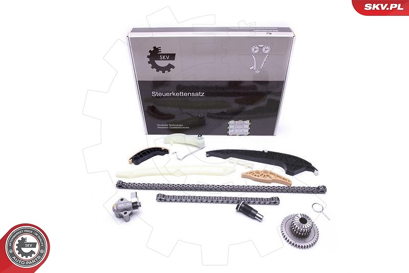 Esen Skv Steuerkettensatz [Hersteller-Nr. 21SKV161] für Seat, Skoda, Audi, VW