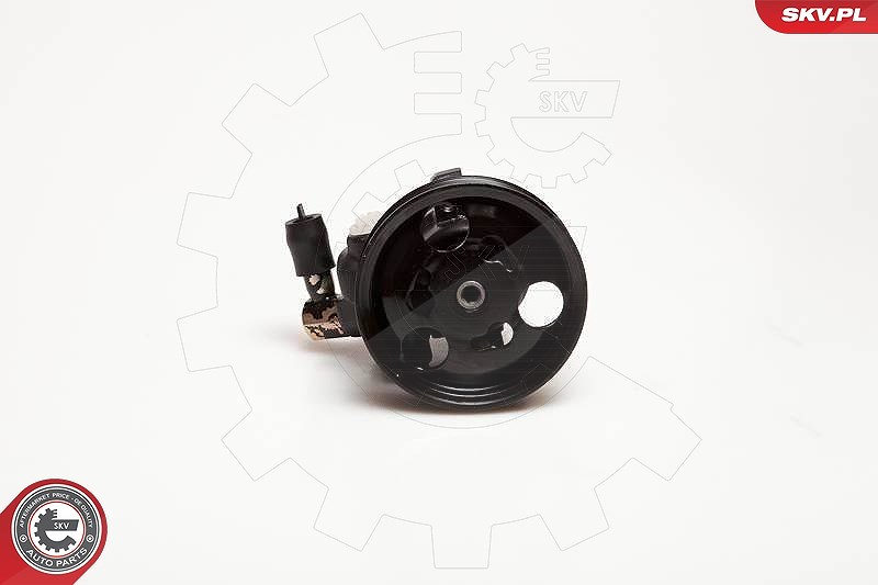 Esen Skv Hydraulikpumpe, Lenkung [Hersteller-Nr. 10SKV097] für Ford