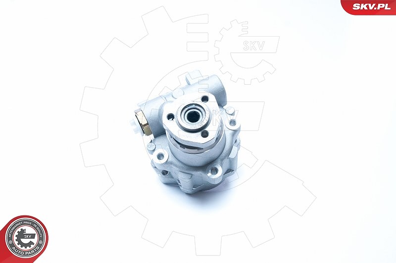 Esen Skv Hydraulikpumpe, Lenkung [Hersteller-Nr. 10SKV230] für VW, Seat, Ford