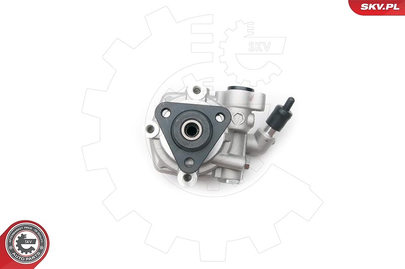 Esen Skv Hydraulikpumpe, Lenkung [Hersteller-Nr. 10SKV193] für VW