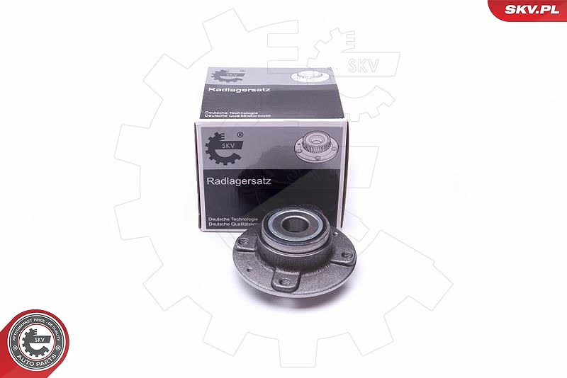 Esen Skv Radlagersatz [Hersteller-Nr. 29SKV348] für Citroën, Peugeot