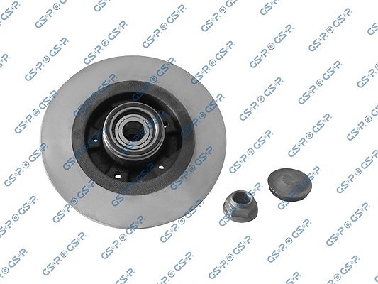 Gsp 1x Bremsscheibe Hinterachse Voll [Hersteller-Nr. 9230138K] für Renault