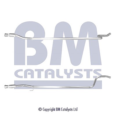 Bm Catalysts Abgasrohr [Hersteller-Nr. BM50481] für Citroën