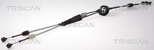 Triscan Seilzug, Schaltgetriebe [Hersteller-Nr. 814038707] für Citroën