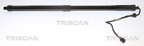 Triscan Gasfeder, Koffer-/Laderaum [Hersteller-Nr. 871016301] für Ford