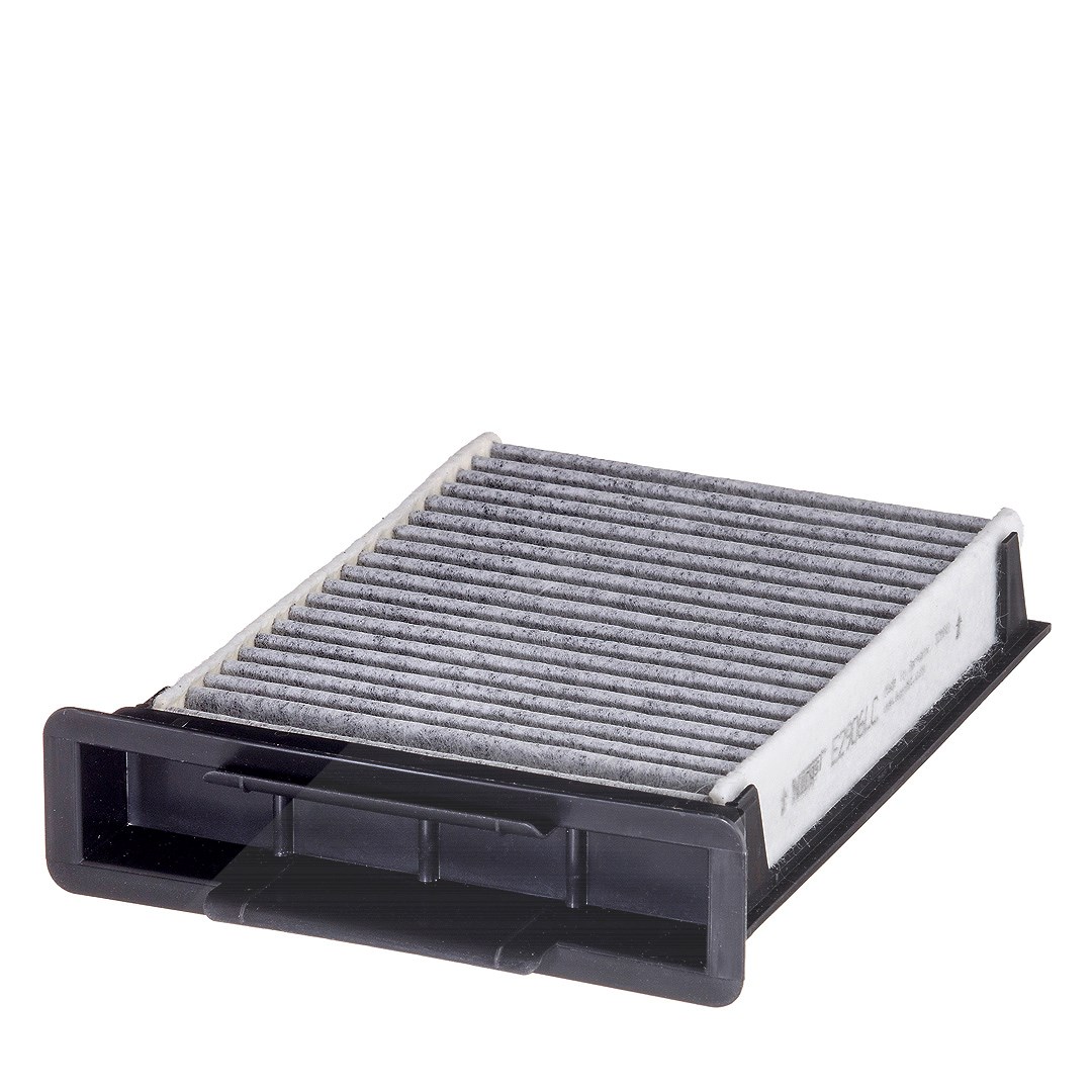 Hengst Filter Filter, Innenraumluft [Hersteller-Nr. E2906LC] für Citroën, Peugeot, Toyota