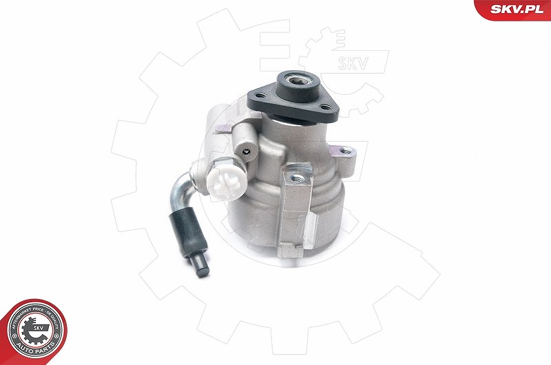Esen Skv Hydraulikpumpe, Lenkung [Hersteller-Nr. 10SKV198] für Fiat, Alfa Romeo