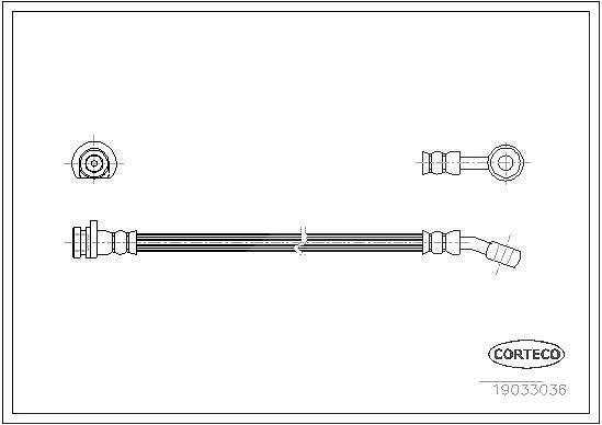 Corteco Bremsschlauch ERSTAUSRÜSTERQUALITÄT [Hersteller-Nr. 19033036] für Mg