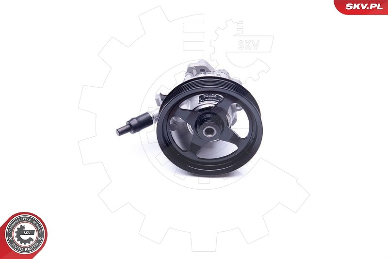 Esen Skv Hydraulikpumpe, Lenkung [Hersteller-Nr. 10SKV266] für Land Rover