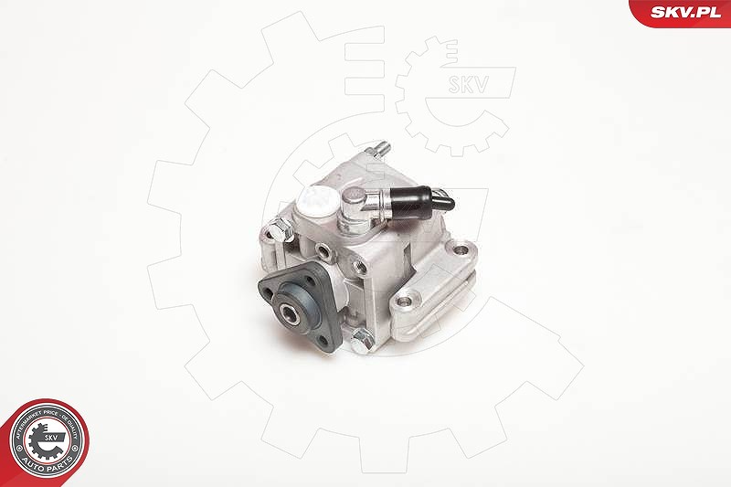 Esen Skv Hydraulikpumpe, Lenkung [Hersteller-Nr. 10SKV088] für BMW