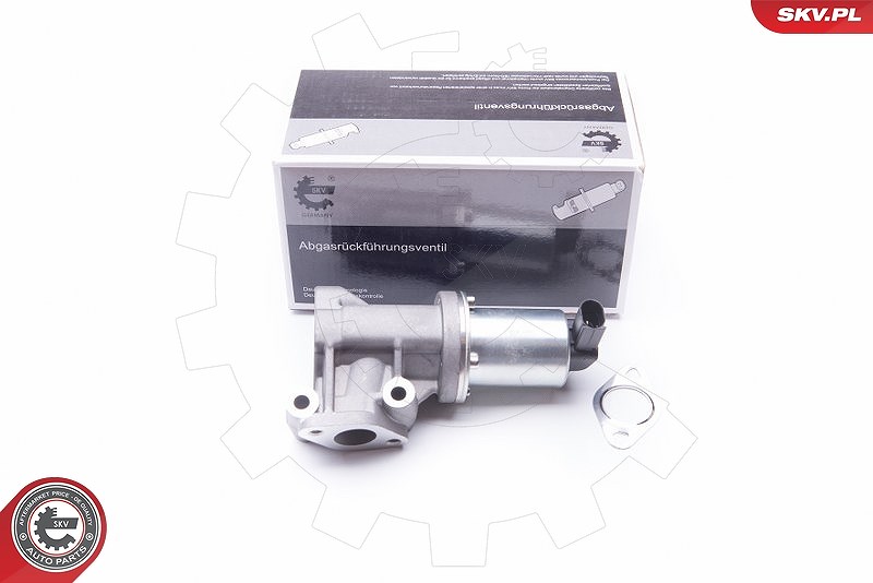 Esen Skv AGR-Ventil [Hersteller-Nr. 14SKV105] für Hyundai, Kia