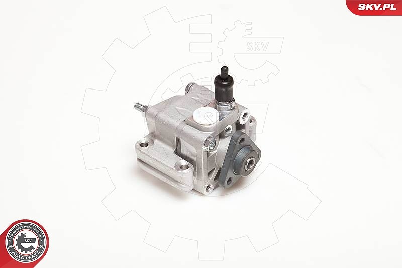 Esen Skv Hydraulikpumpe, Lenkung [Hersteller-Nr. 10SKV109] für BMW