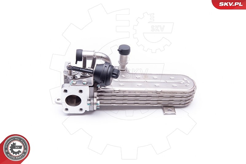 Esen Skv Kühler, Abgasrückführung [Hersteller-Nr. 14SKV138] für VW, Audi, Seat, Skoda