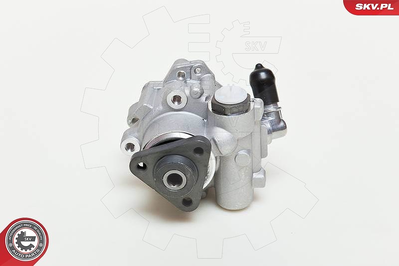Esen Skv Hydraulikpumpe, Lenkung [Hersteller-Nr. 10SKV049] für Mini