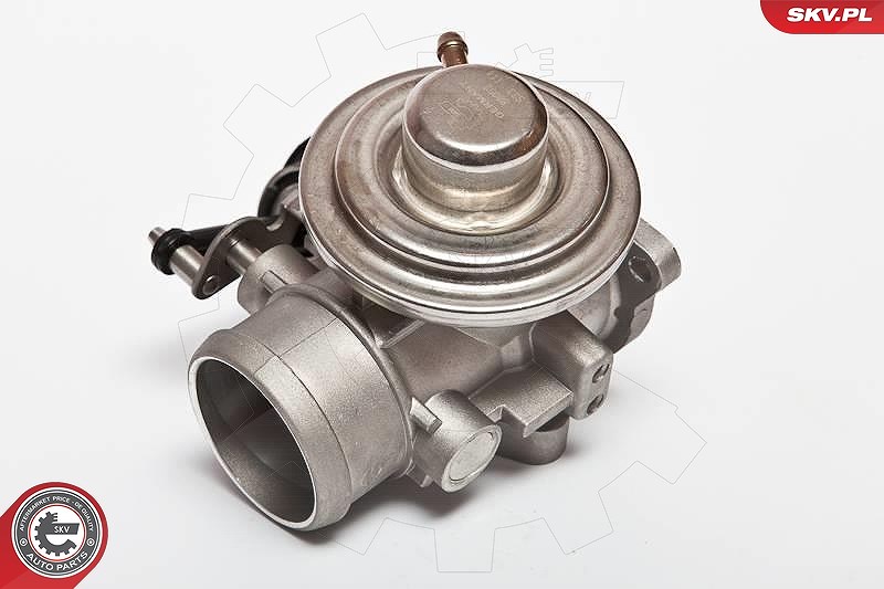 Esen Skv AGR-Ventil [Hersteller-Nr. 14SKV020] für Ford, VW, Seat, Audi, Skoda