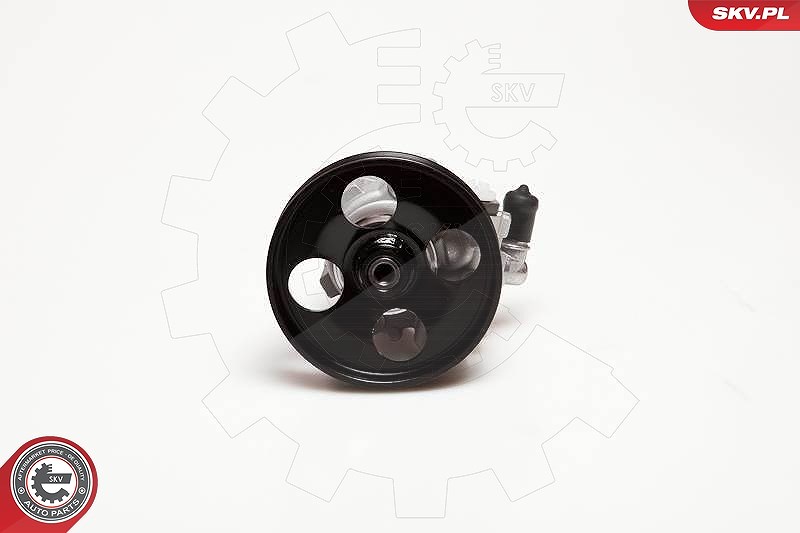 Esen Skv Hydraulikpumpe, Lenkung [Hersteller-Nr. 10SKV100] für Fiat, Lancia, Citroën, Peugeot