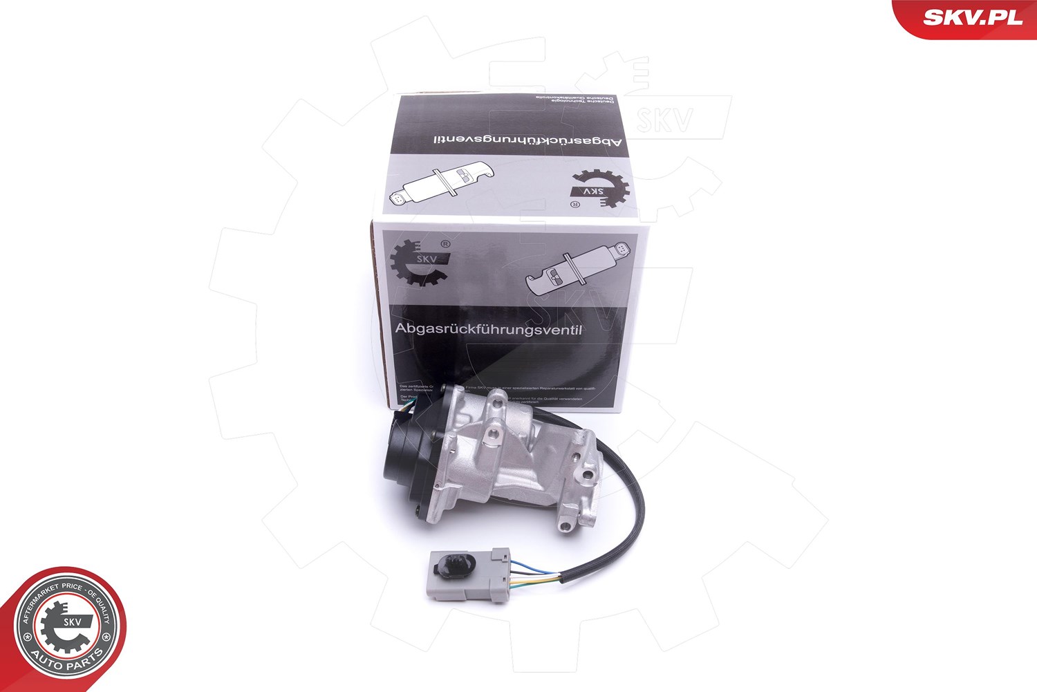 Esen Skv AGR-Ventil [Hersteller-Nr. 14SKV216] für Land Rover