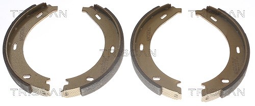 Triscan Bremsbackensatz, Feststellbremse [Hersteller-Nr. 810023023] für Mercedes-Benz