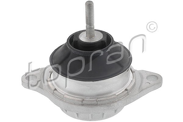 Topran Lagerung, Motor [Hersteller-Nr. 103649] für Audi, VW