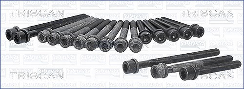 Triscan Zylinderkopfschraubensatz [Hersteller-Nr. 98-8526] für VW, Seat