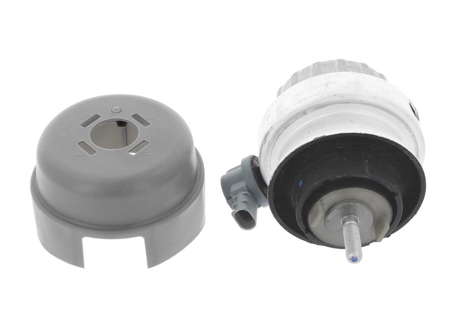 Corteco Lagerung, Motor [Hersteller-Nr. 49446192] für Audi