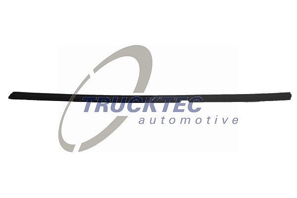 Trucktec Automotive Zier-/Schutzleiste, Türscheibe [Hersteller-Nr. 02.54.019] für Mercedes-Benz