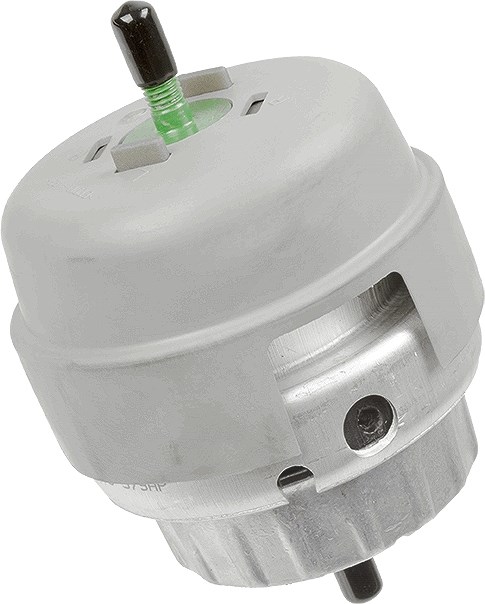 Lemförder Lagerung, Motor [Hersteller-Nr. 3623301] für Audi