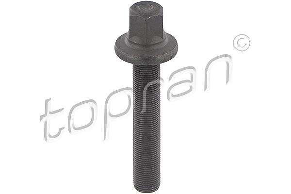 Topran Riemenscheibenschraube [Hersteller-Nr. 503131] für BMW