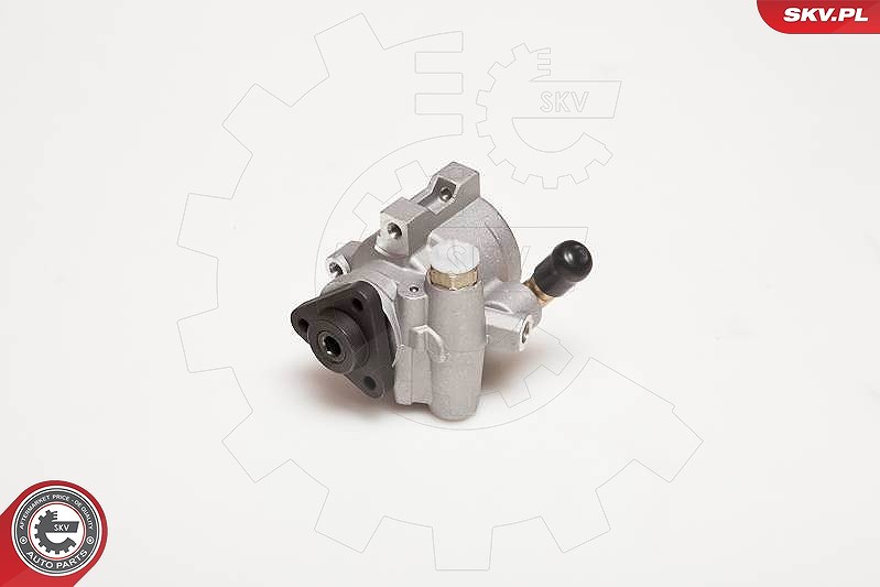 Esen Skv Hydraulikpumpe, Lenkung [Hersteller-Nr. 10SKV055] für Ford
