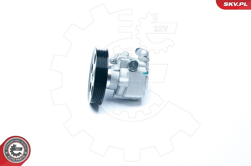 Esen Skv Hydraulikpumpe, Lenkung [Hersteller-Nr. 10SKV183] für Audi