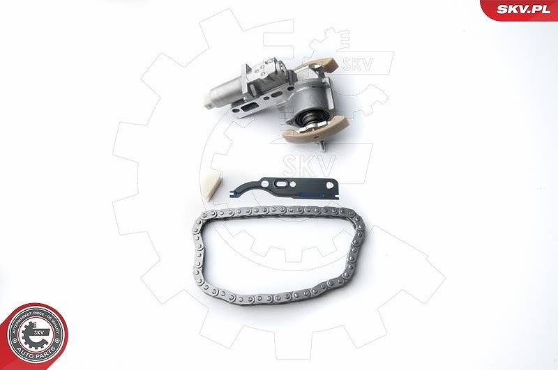 Esen Skv Steuerkettensatz [Hersteller-Nr. 21SKV030] für Audi, Seat, VW, Skoda