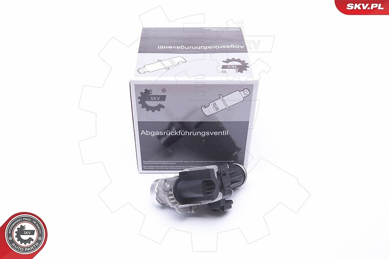 Esen Skv AGR-Ventil [Hersteller-Nr. 14SKV185] für Ford, Peugeot, Volvo, Citroën