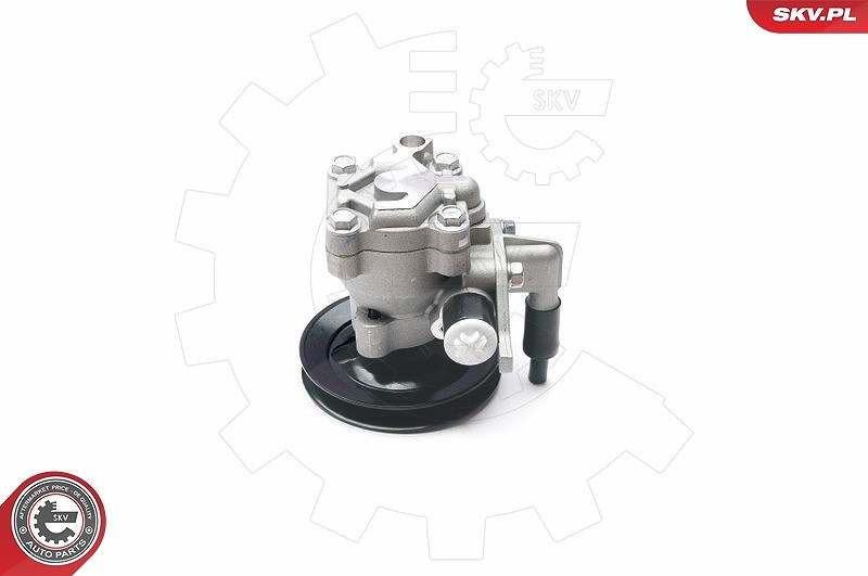 Esen Skv Hydraulikpumpe, Lenkung [Hersteller-Nr. 10SKV204] für Hyundai