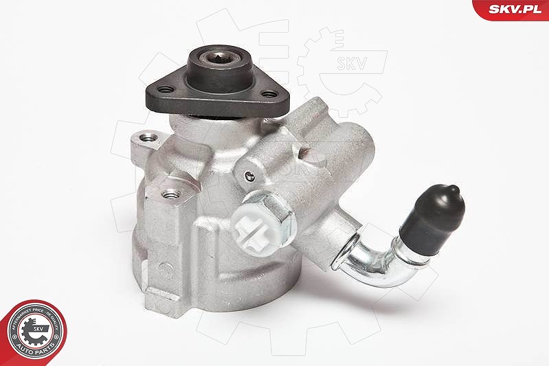 Esen Skv Hydraulikpumpe, Lenkung [Hersteller-Nr. 10SKV064] für Fiat