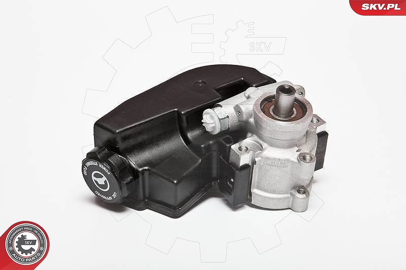 Esen Skv Hydraulikpumpe, Lenkung [Hersteller-Nr. 10SKV090] für Jeep