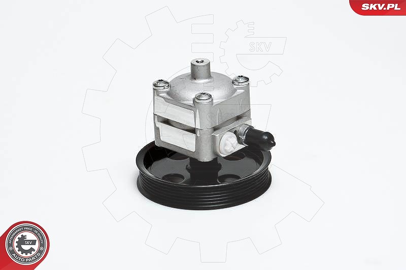 Esen Skv Hydraulikpumpe, Lenkung [Hersteller-Nr. 10SKV028] für Volvo