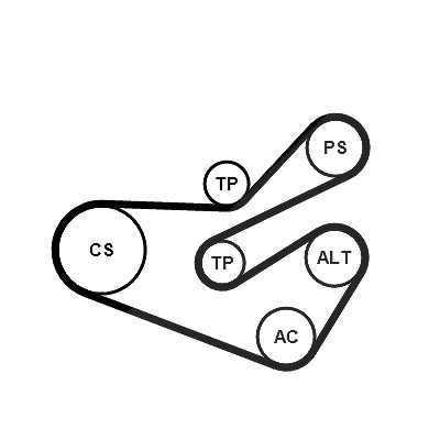 Continental Ctam Keilrippenriemensatz [Hersteller-Nr. 6PK1740K3] für Peugeot, Citroën