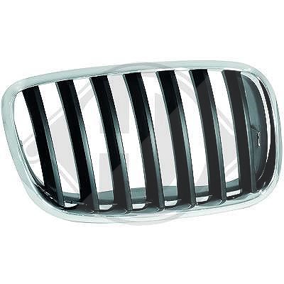 Diederichs Kühlergitter [Hersteller-Nr. 1291048] für BMW