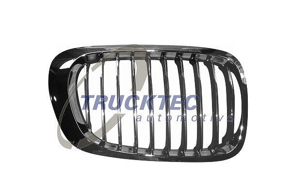 Trucktec Automotive Kühlergitter [Hersteller-Nr. 08.62.254] für BMW