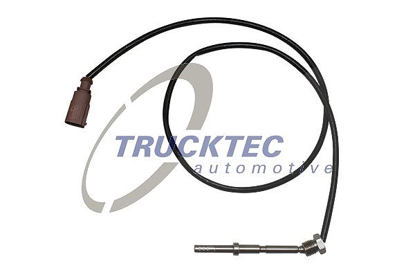 Trucktec Automotive Sensor, Abgastemperatur [Hersteller-Nr. 07.17.081] für Audi, Seat, Skoda, VW