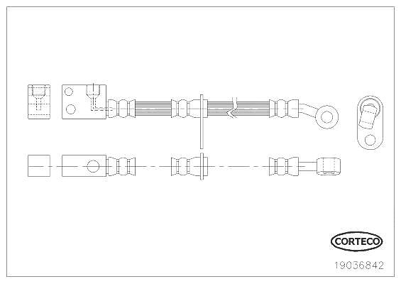 Corteco Bremsschlauch ERSTAUSRÜSTERQUALITÄT [Hersteller-Nr. 19036842] für Honda