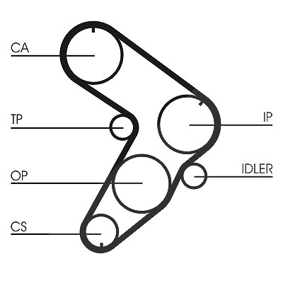 Continental Ctam Zahnriemen [Hersteller-Nr. CT599] für Fiat