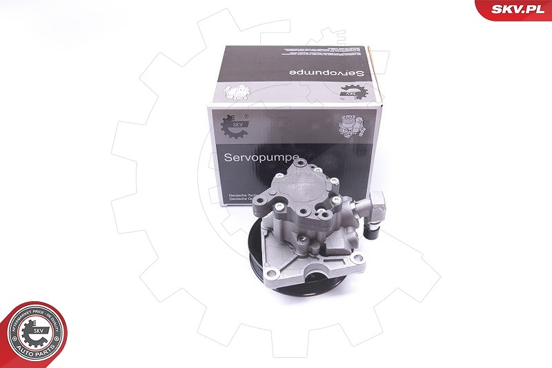 Esen Skv Hydraulikpumpe, Lenkung [Hersteller-Nr. 10SKV270] für Mercedes-Benz