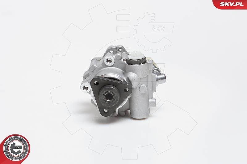 Esen Skv Hydraulikpumpe, Lenkung [Hersteller-Nr. 10SKV014] für BMW
