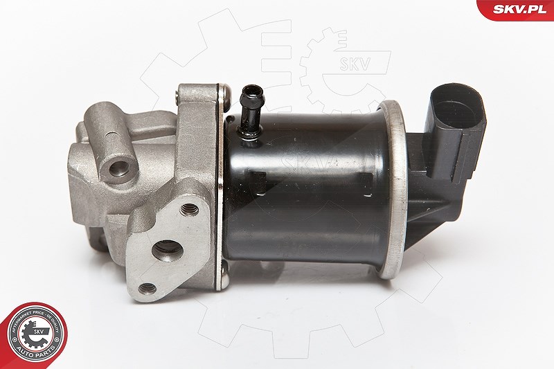 Esen Skv AGR-Ventil [Hersteller-Nr. 14SKV074] für VW, Seat