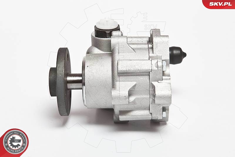 Esen Skv Hydraulikpumpe, Lenkung [Hersteller-Nr. 10SKV123] für BMW
